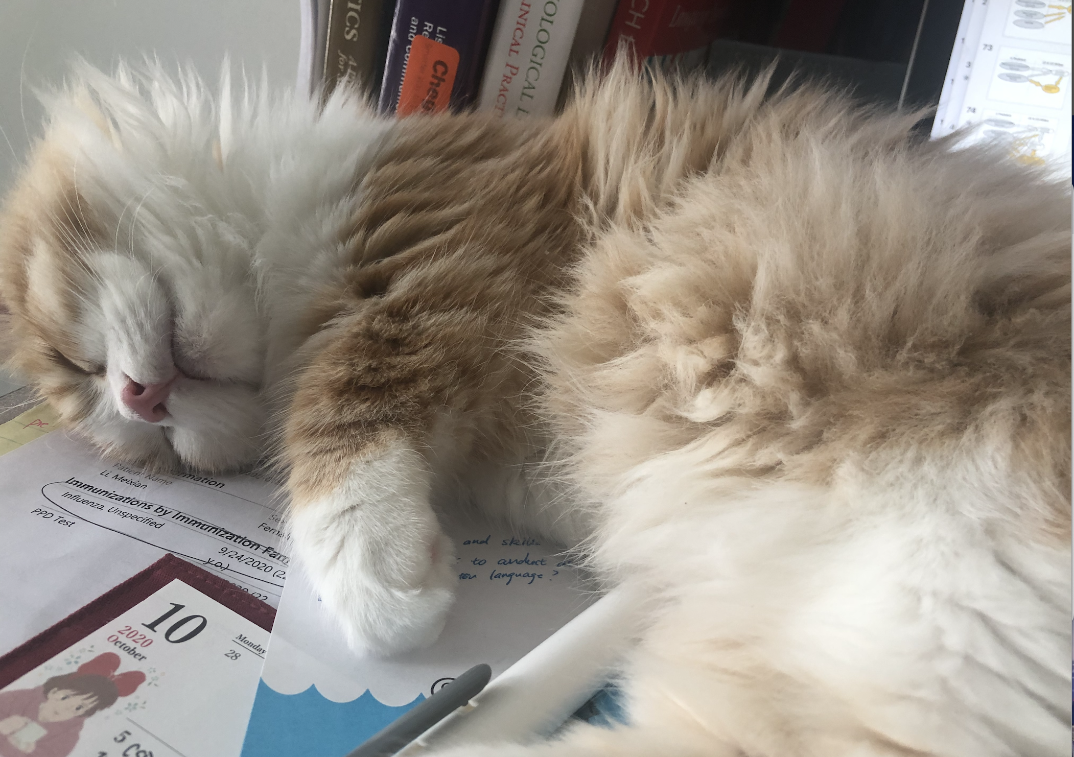 Curry tired to study